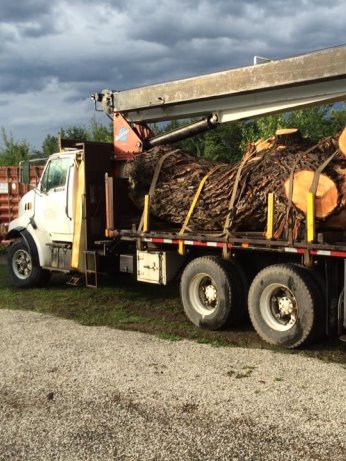 Service d'élagage à Laval