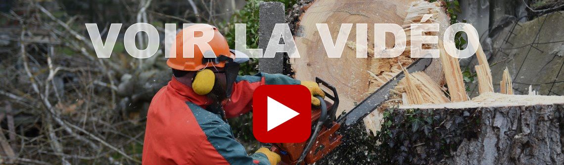 Abattage d’arbres à Laval